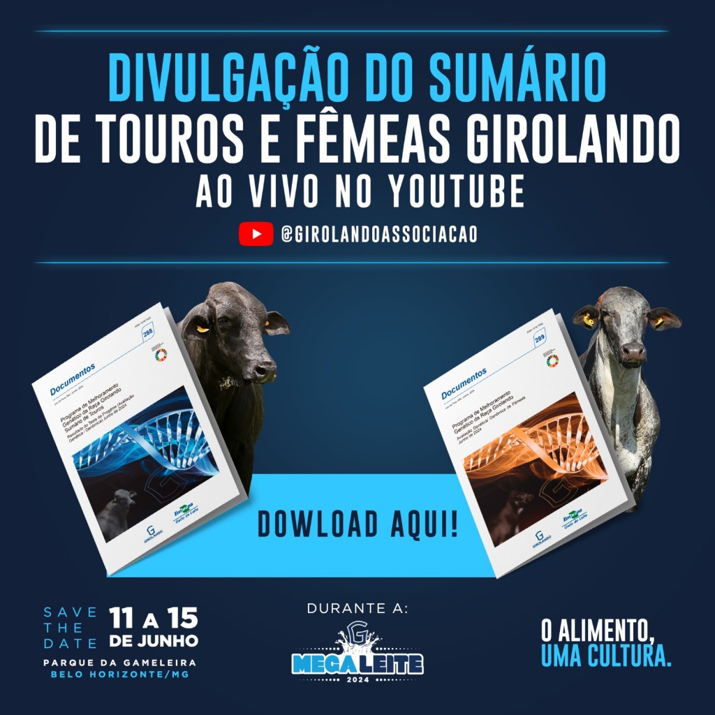 Novo Sumário de Touros de Girolando traz índice inédito de Performance da raça